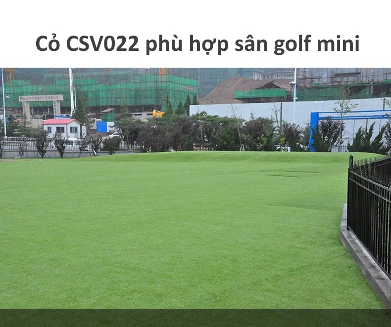 Cỏ nhân tạo CSV022 phù hợp làm sân golf mini