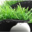Chi tiết cỏ nhân tạo CSV023