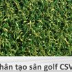 Chi tiết cỏ nhân tạo CSV022